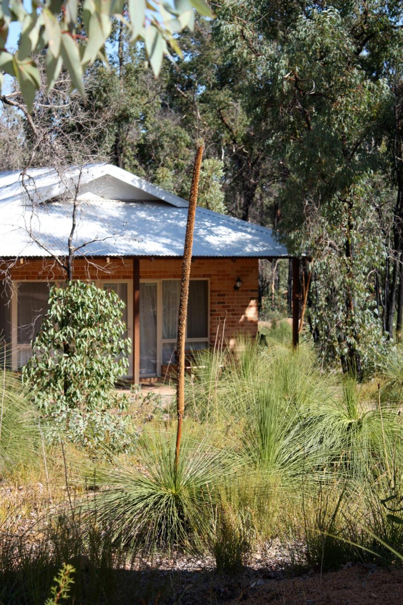 Chalets on Stoneville Redcliffe Exteriör bild