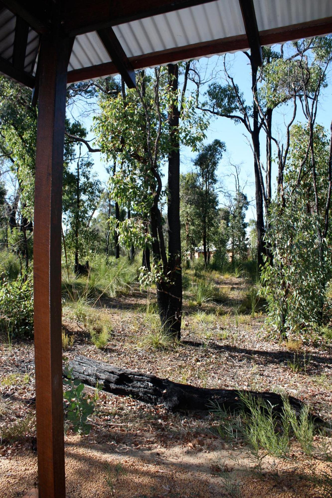 Chalets on Stoneville Redcliffe Exteriör bild